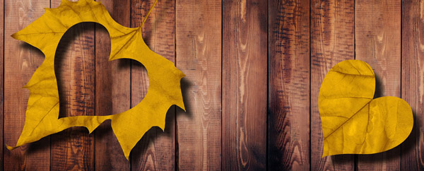 Diane McDonald Individual and Couples Therapy Information